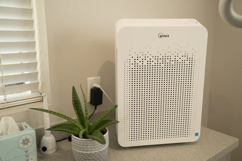 Air purifier and a potted plant on a treatment room counter